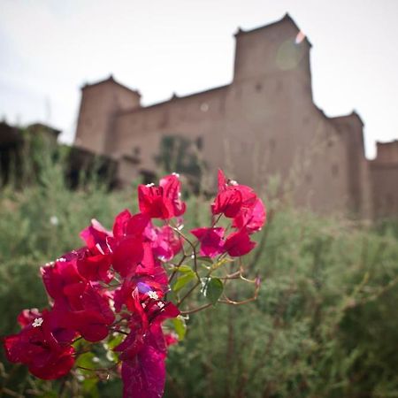 Kasbah Ait Ben Moro Hotel สกูรา ภายนอก รูปภาพ