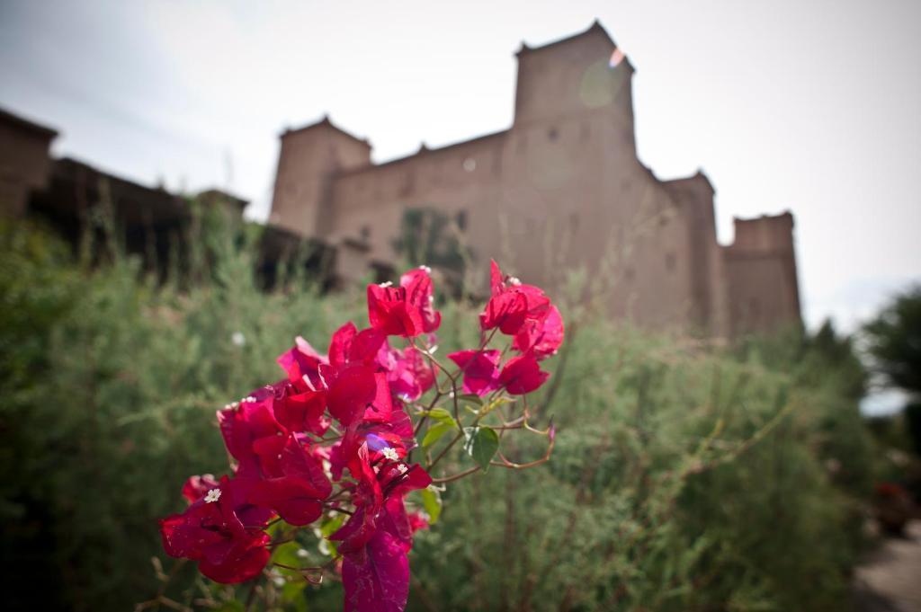 Kasbah Ait Ben Moro Hotel สกูรา ภายนอก รูปภาพ